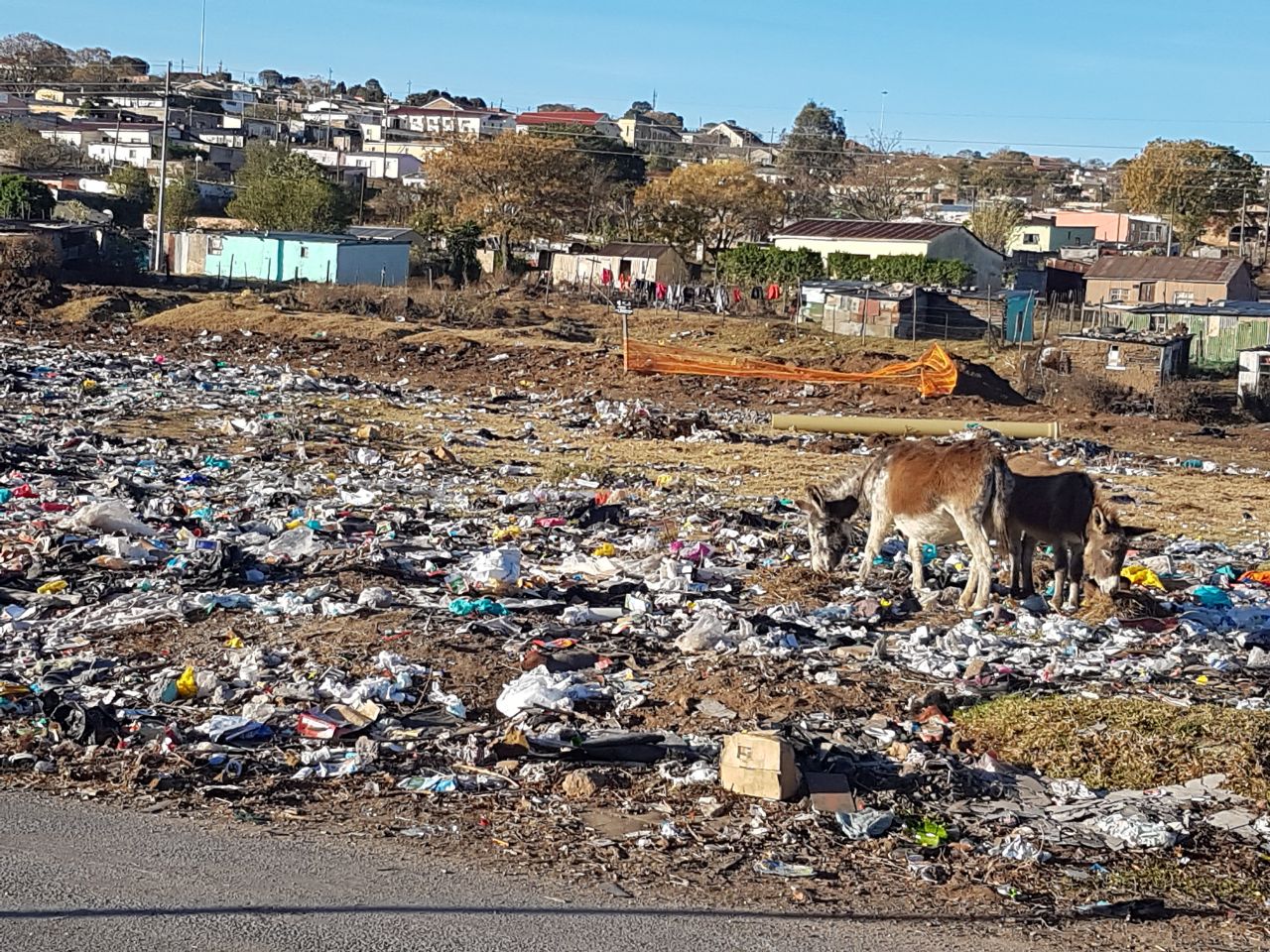 Makana faces trash health hazard