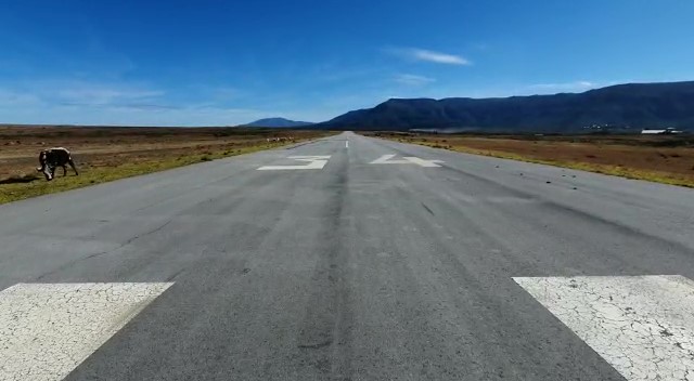 R53 Million Somerset East Airfield now cattle grazing field
